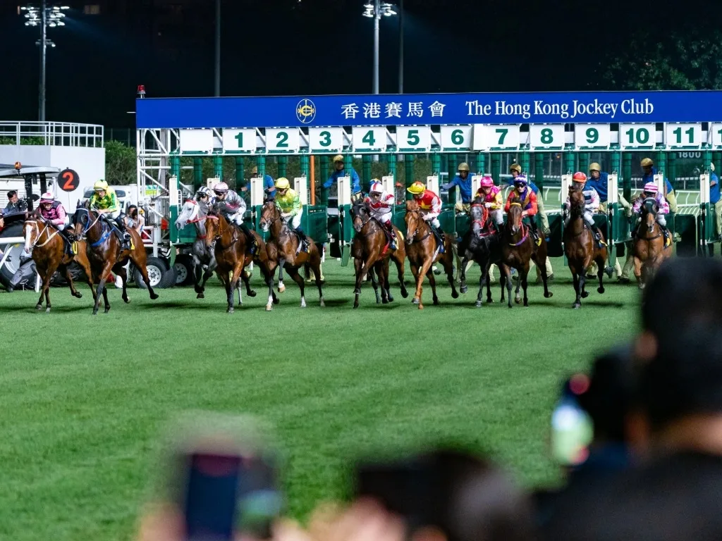 跑馬地馬場 HAPPY VALLEY HORSE RACING