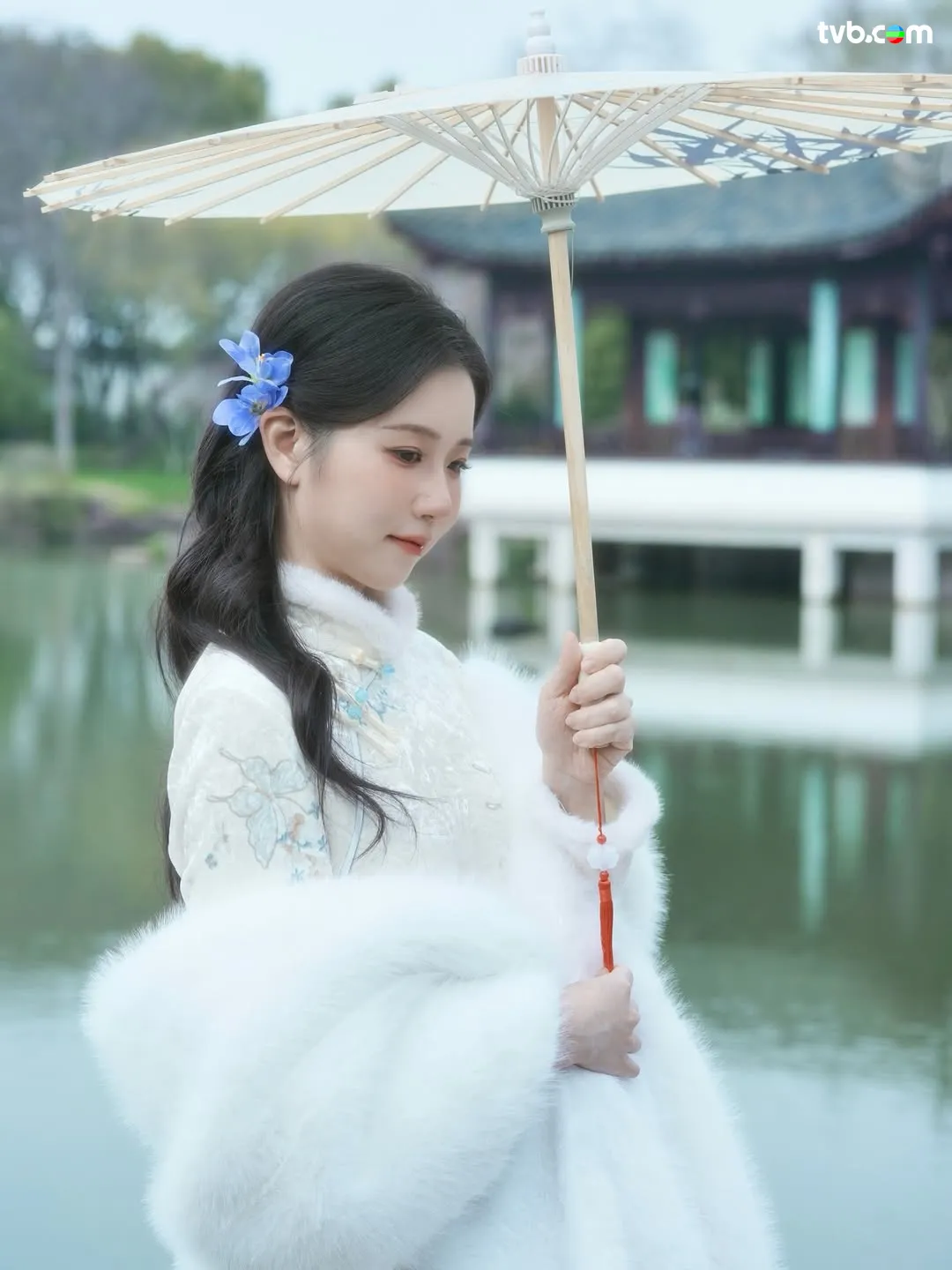 c971eae4-0d00-4d4e-a843-64dab0d8e7f8.jpg.webp