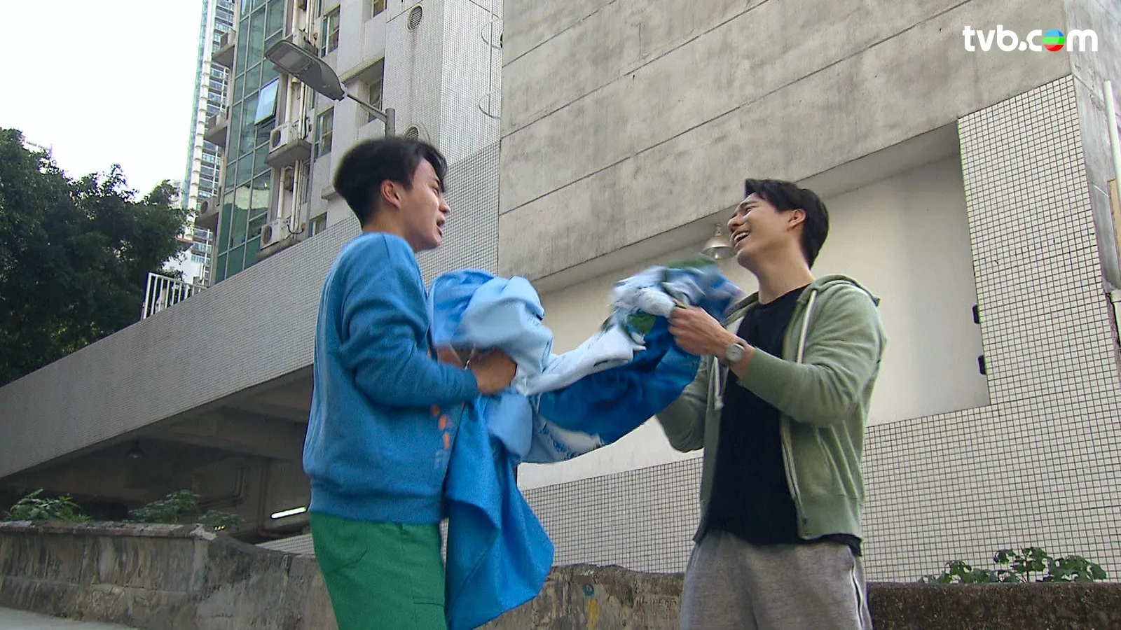 ecae6284-abe0-44e0-9d78-1ceb472fba5b.jpg.webp