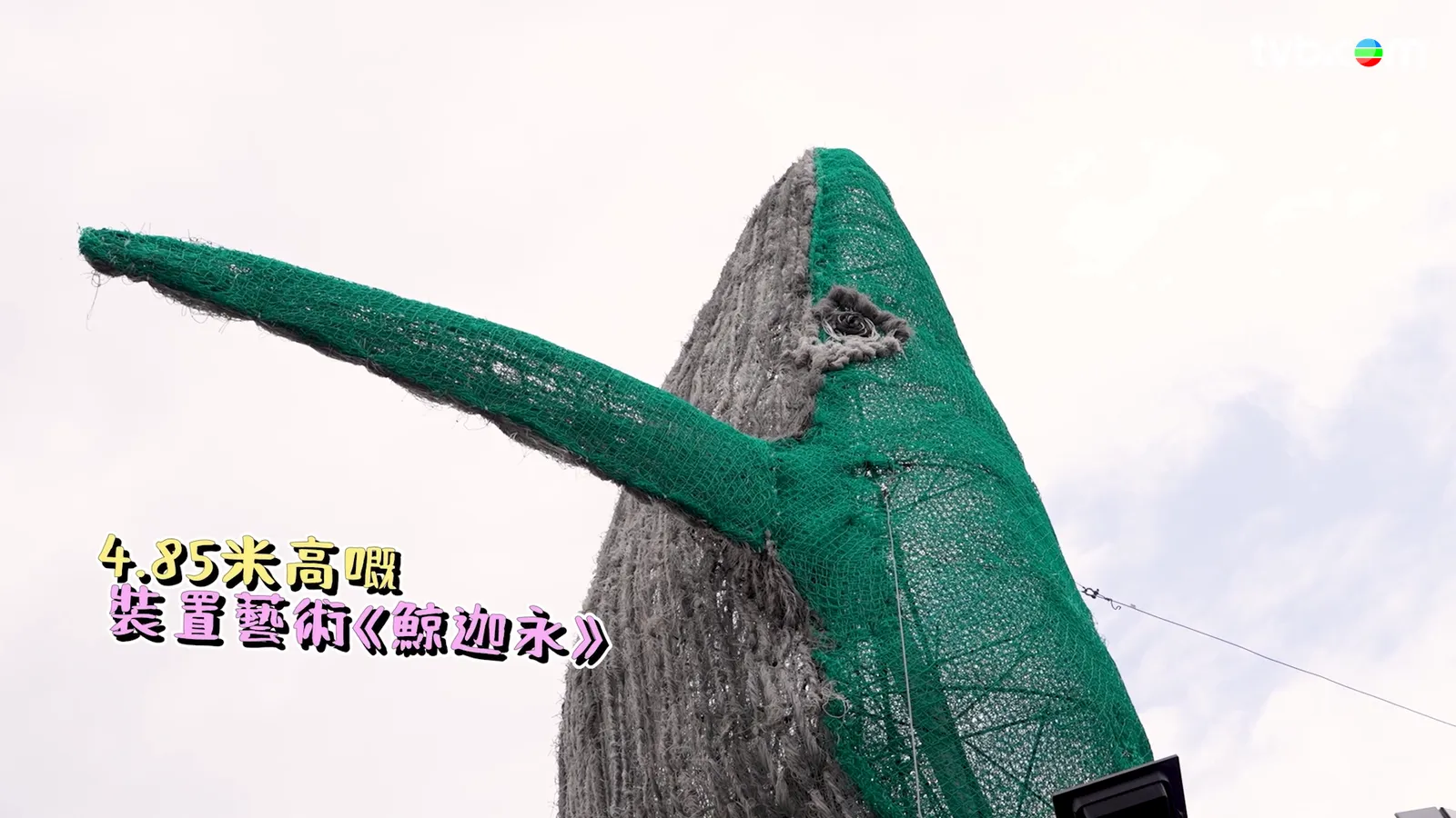 17a71801-ab41-4c59-af8c-a335ab589956.png.webp