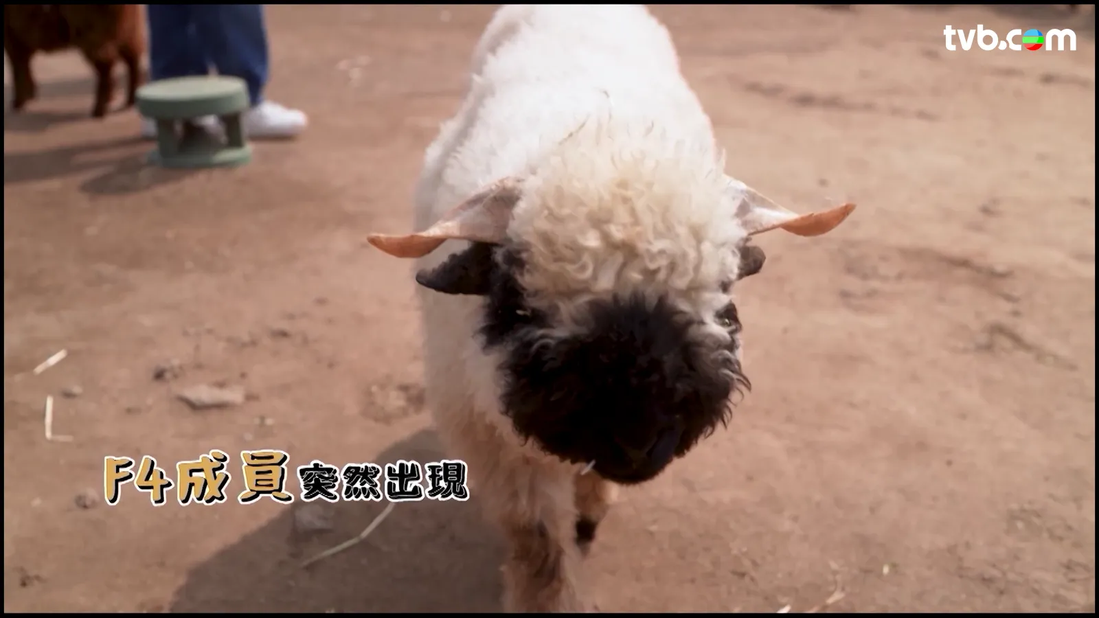 aebe2e31-3458-4a3a-a1c8-6e88ad833432.png.webp