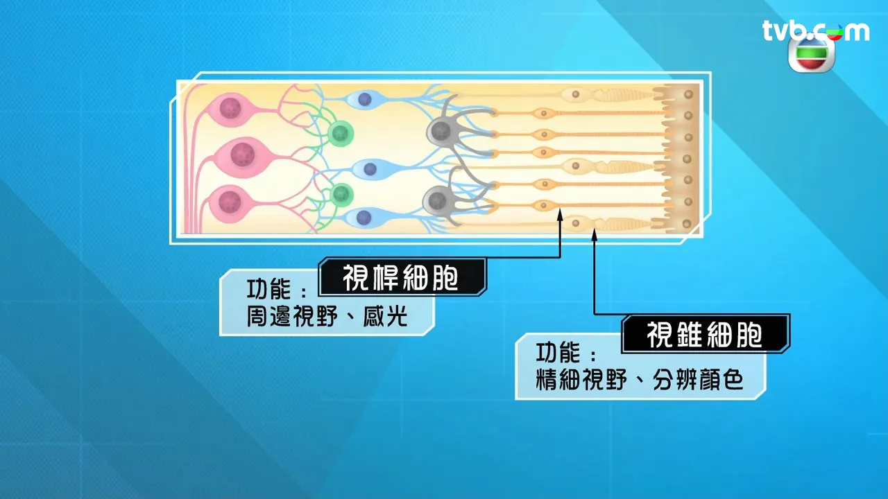 d2d60857-08bb-4fa8-a196-9de055c94d83.jpg.webp