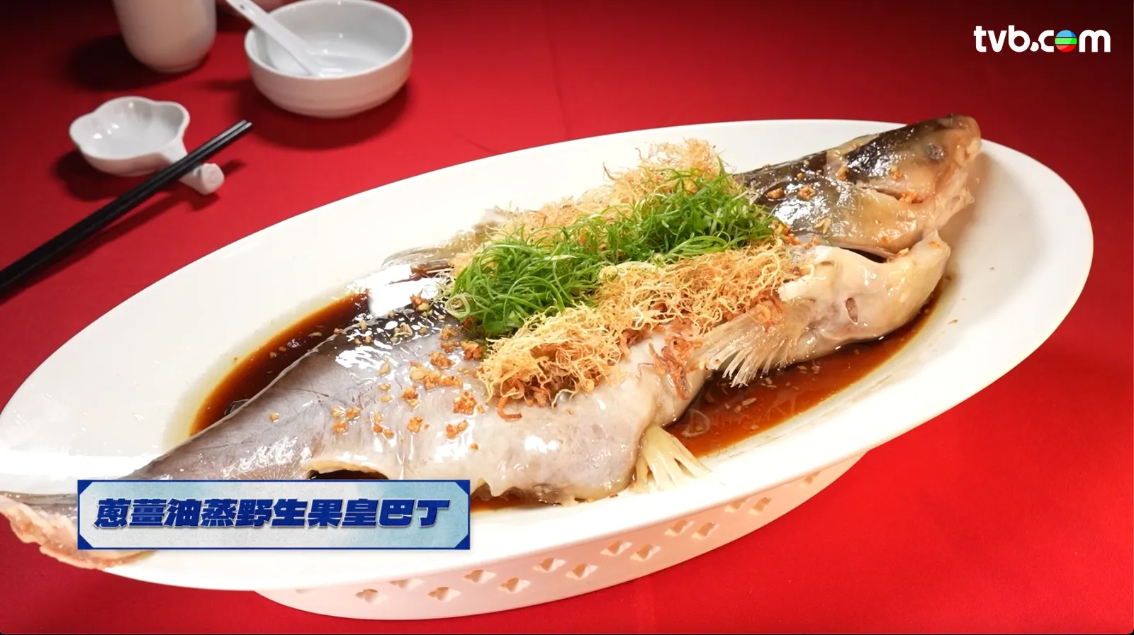 2ede58b4-0589-4055-a94e-9b32d69a8a82.png.webp