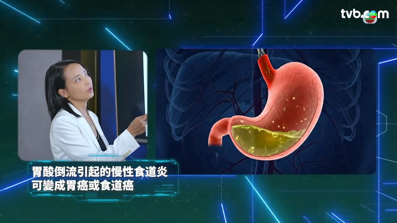 9c08250a-779d-400d-ae7f-6e45afac8221.jpg.webp