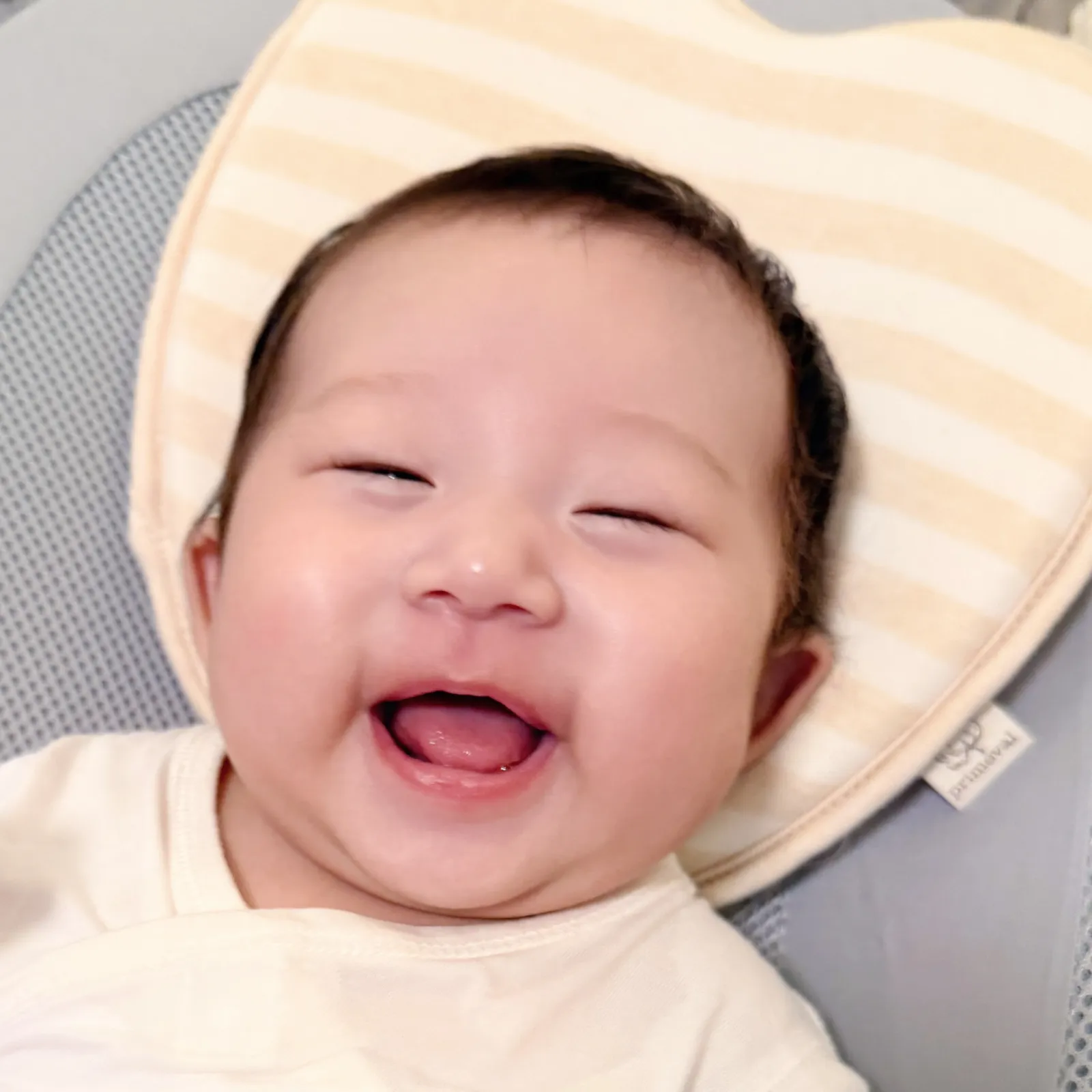 90fa7547-d804-4be6-a267-724453924953.jpg.webp