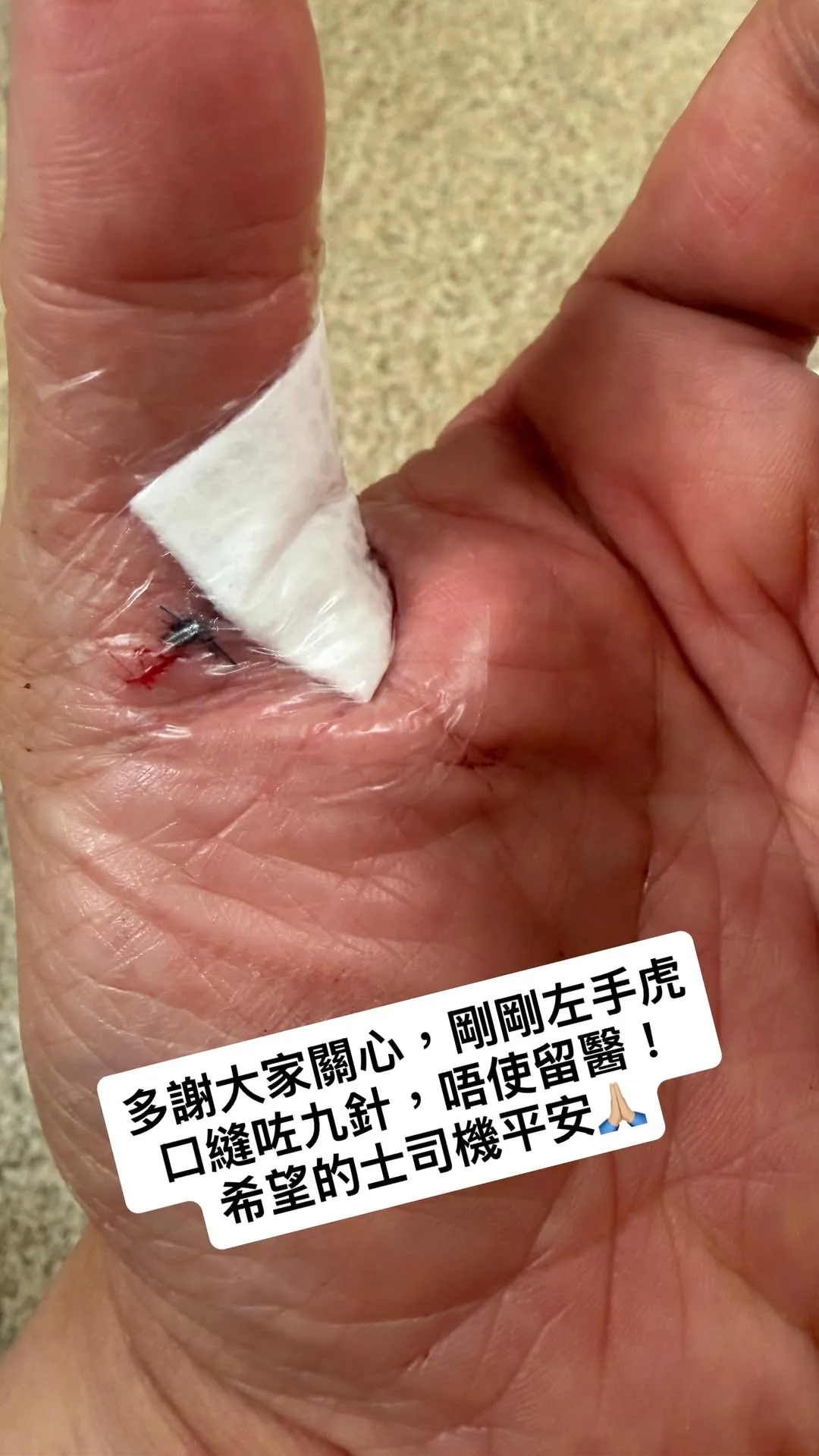 0986c6c5-ae0f-49c6-a647-12ef0e290d9d.jpg.webp