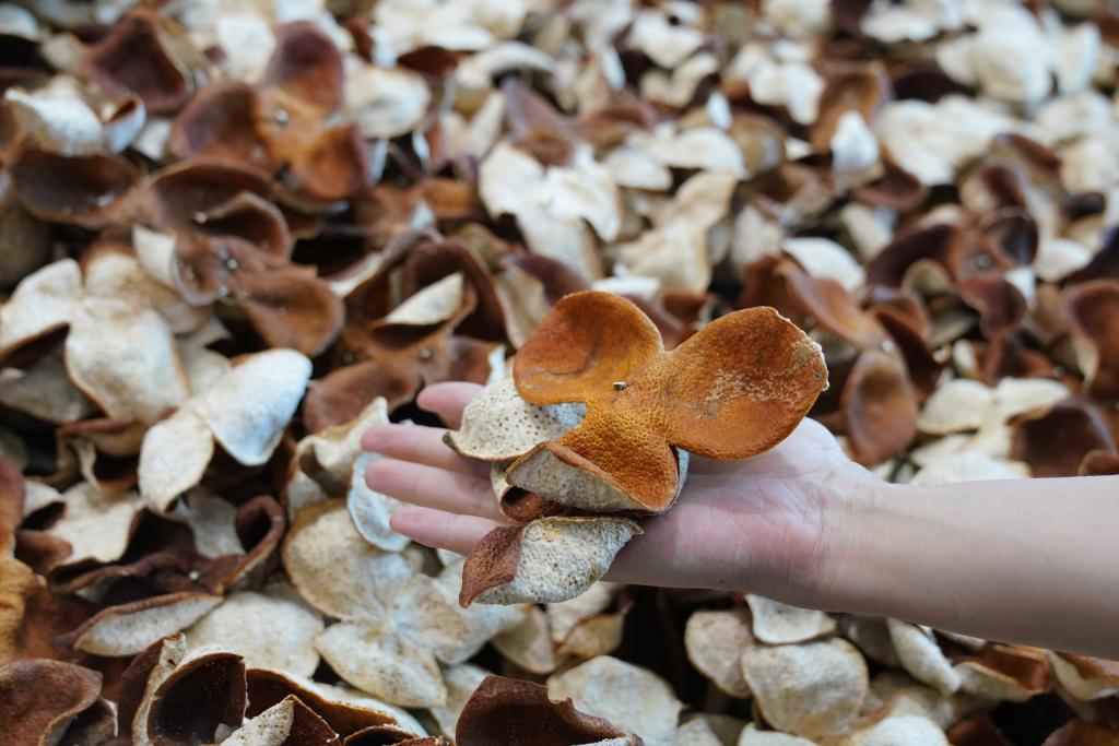 陳皮1 新華.jpg
