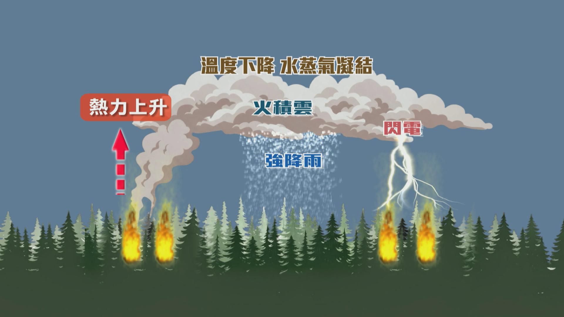 Picture_J.EU.WILDFIRES 1300.jpg