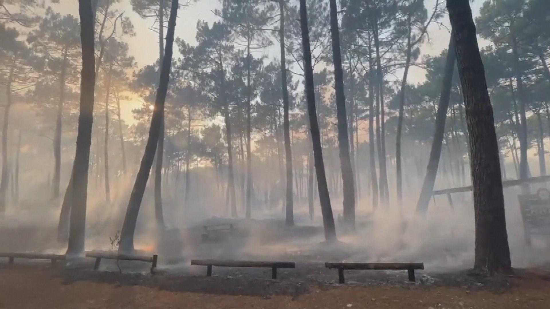 Picture_J.EURO.WILDFIRE-1830_002.jpg