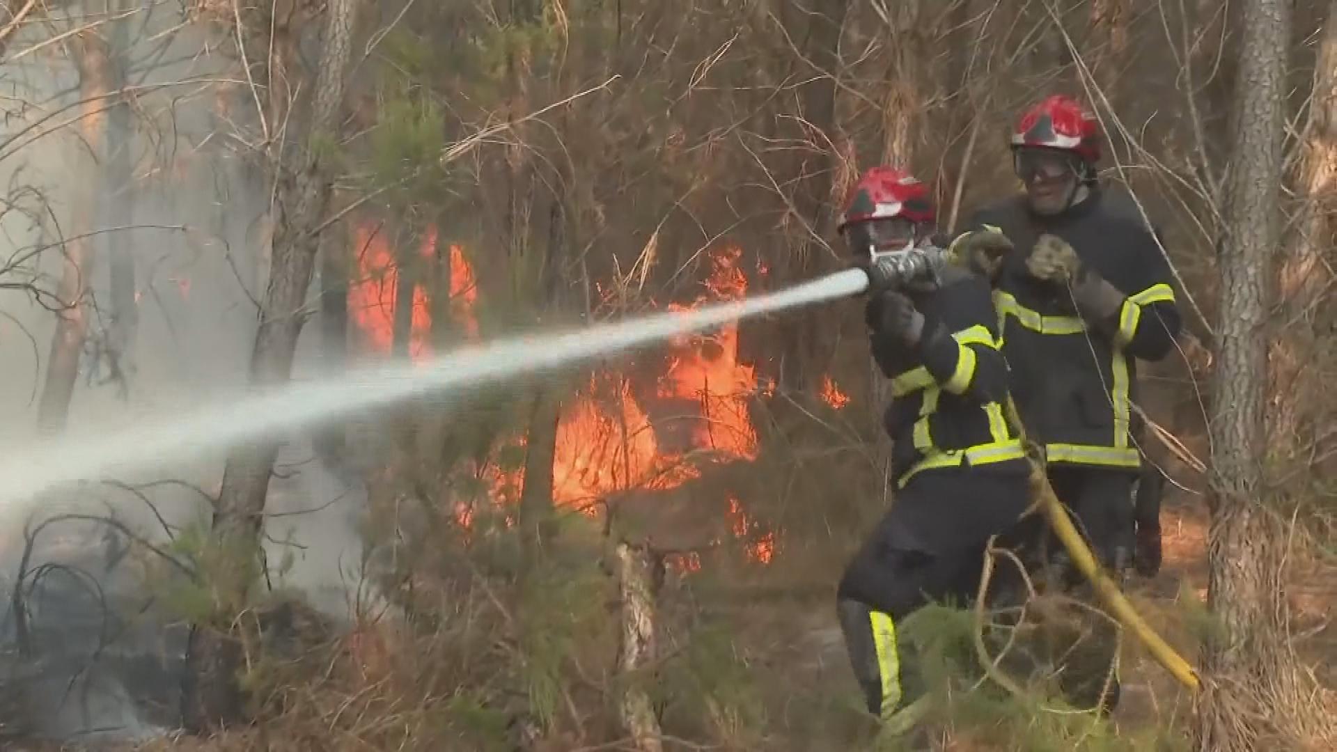 Picture_J.FRA.WILDFIRE-2300_001.jpg