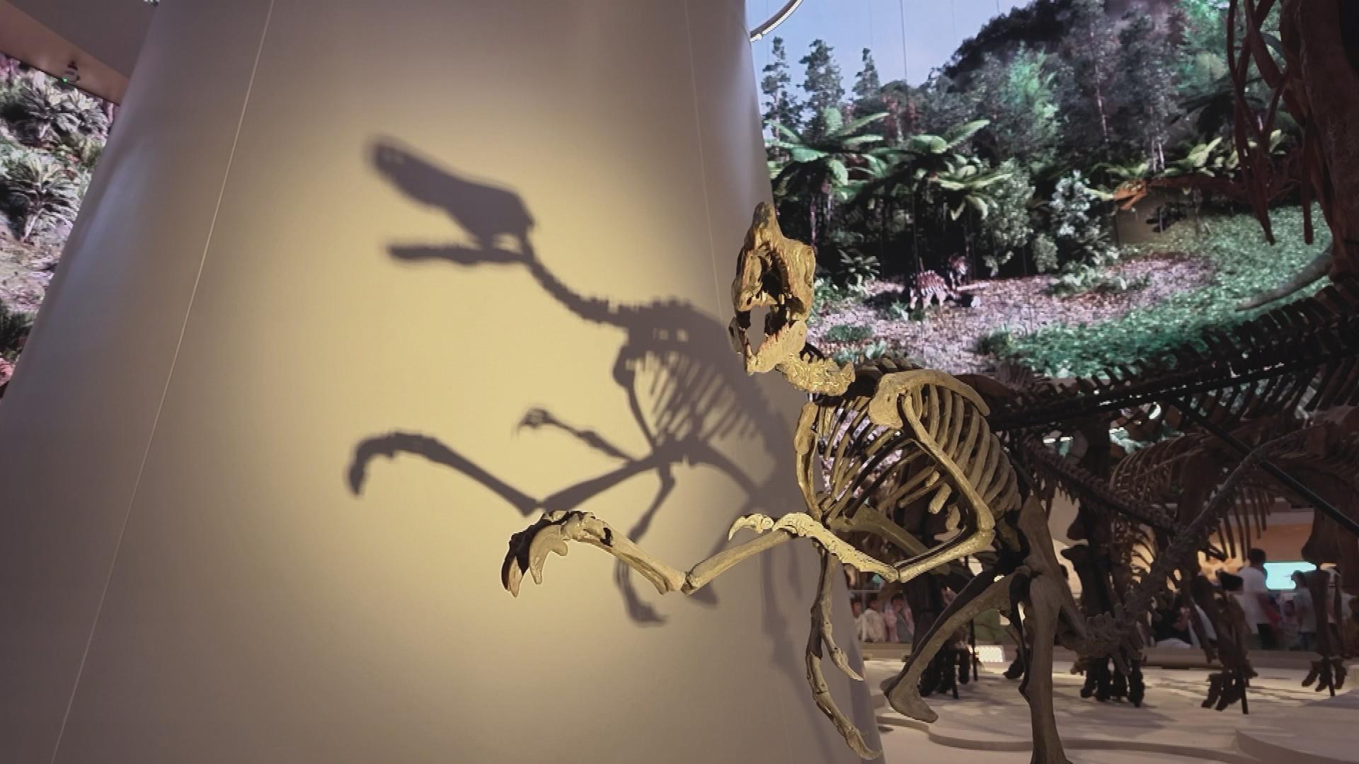 Picture_J.SZ.MUSEUM-2000_012.jpg