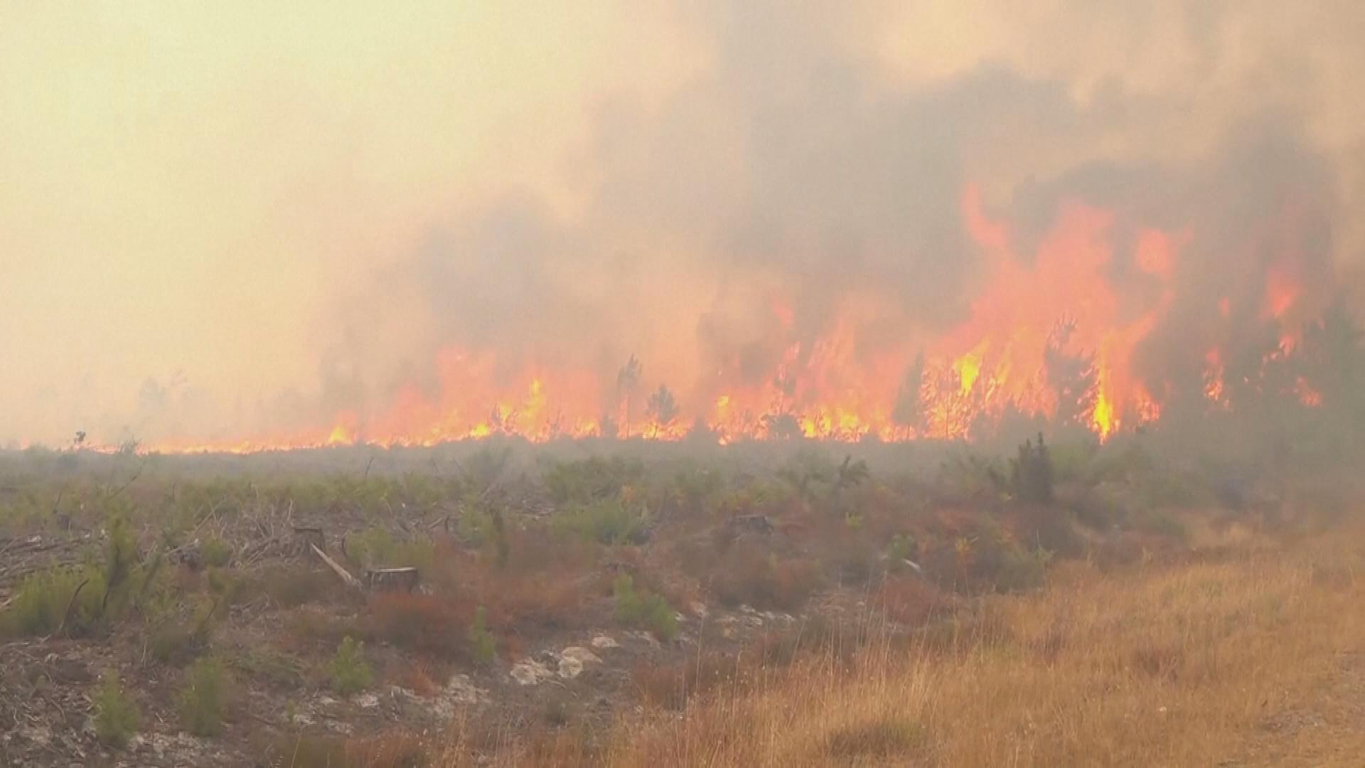 Picture_J.EU.WILDFIRE-1830.jpg