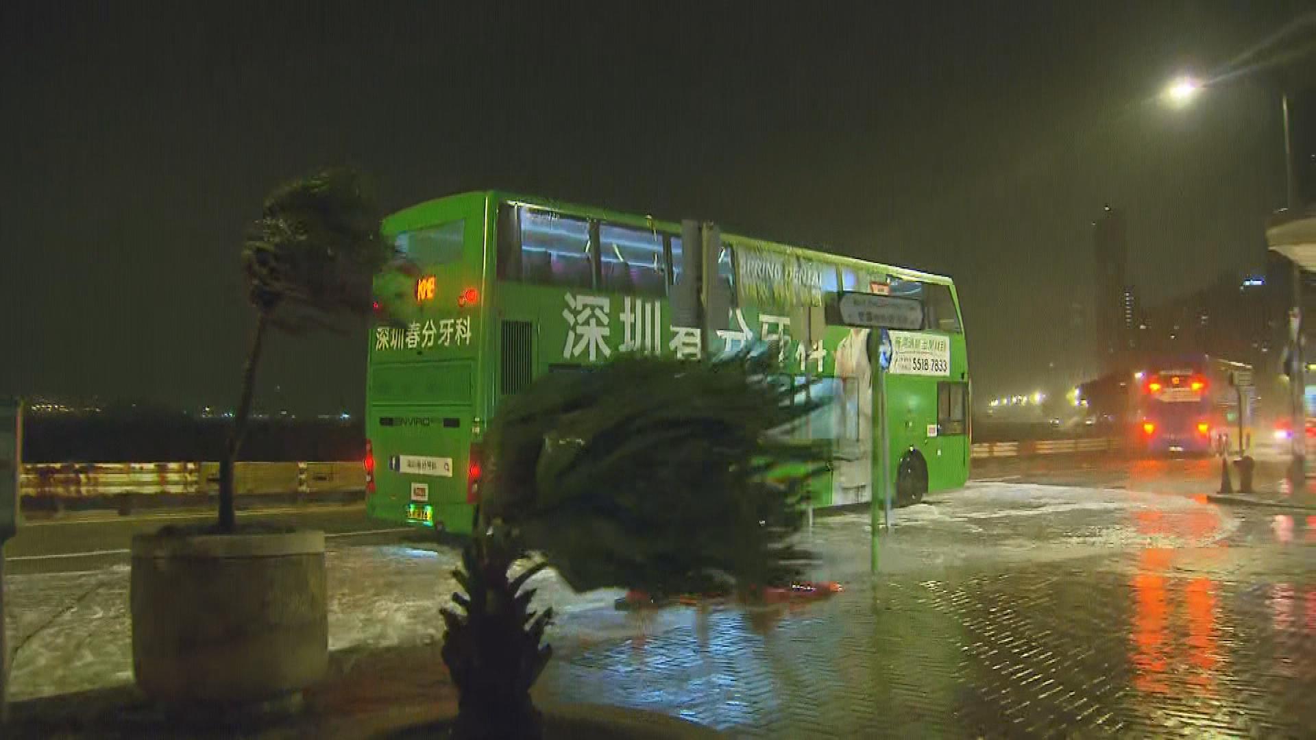 Picture_J.TYPHOON.MIDNIGHT-0530_003.jpg