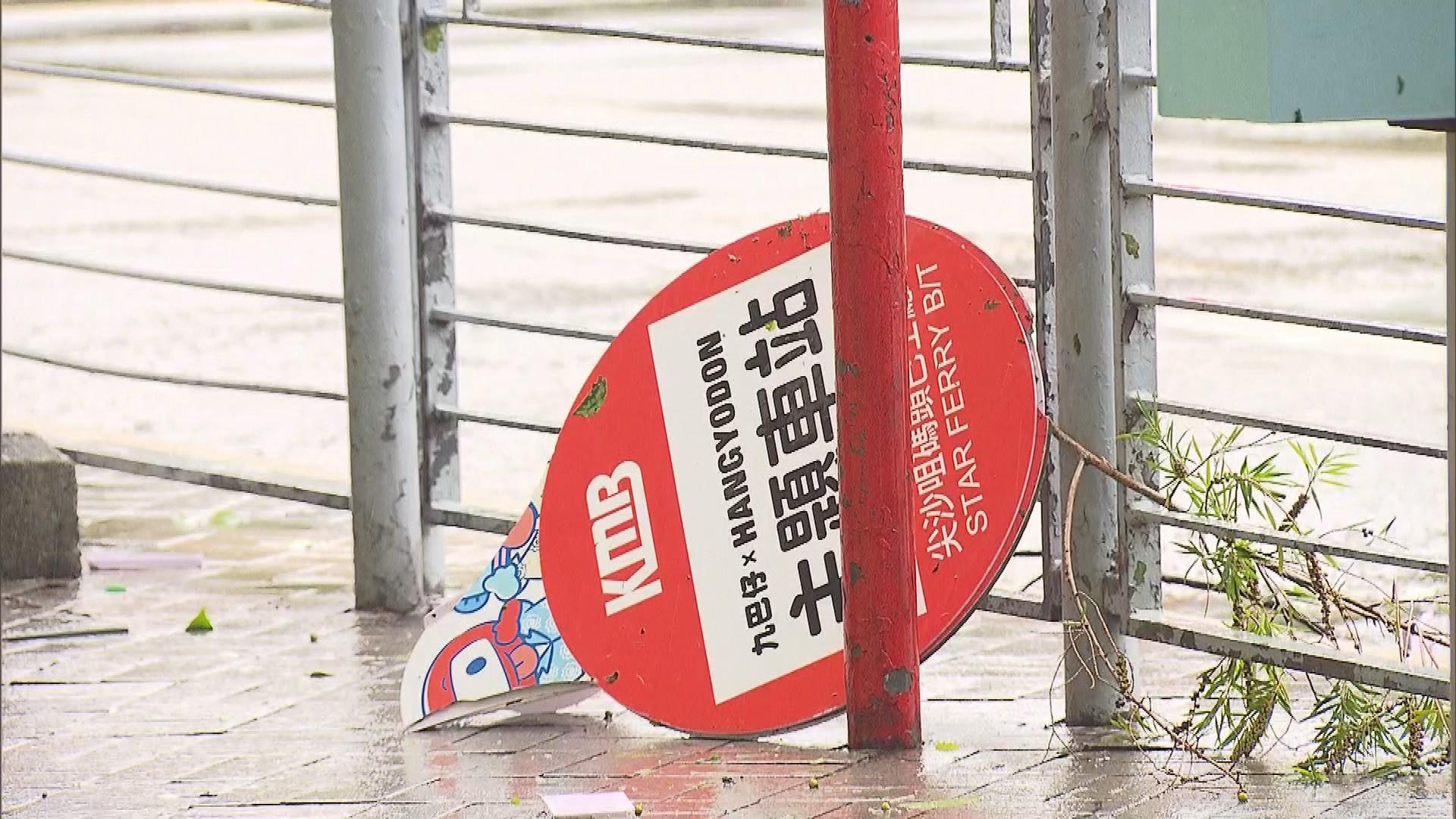 Picture_J.TYPHOON-1830_009.jpg
