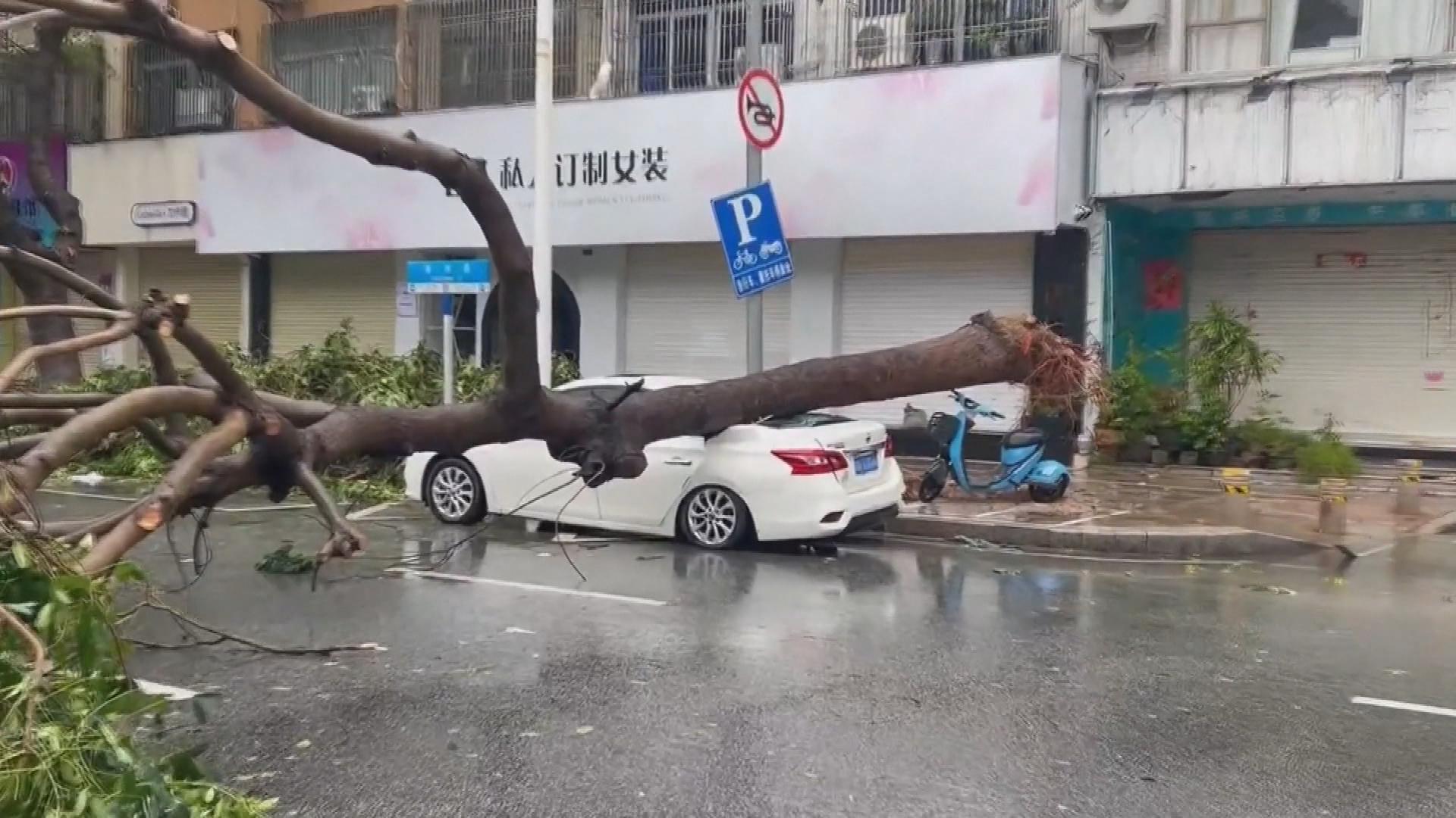 Picture_J.CN.TYPHOON-1830.jpg