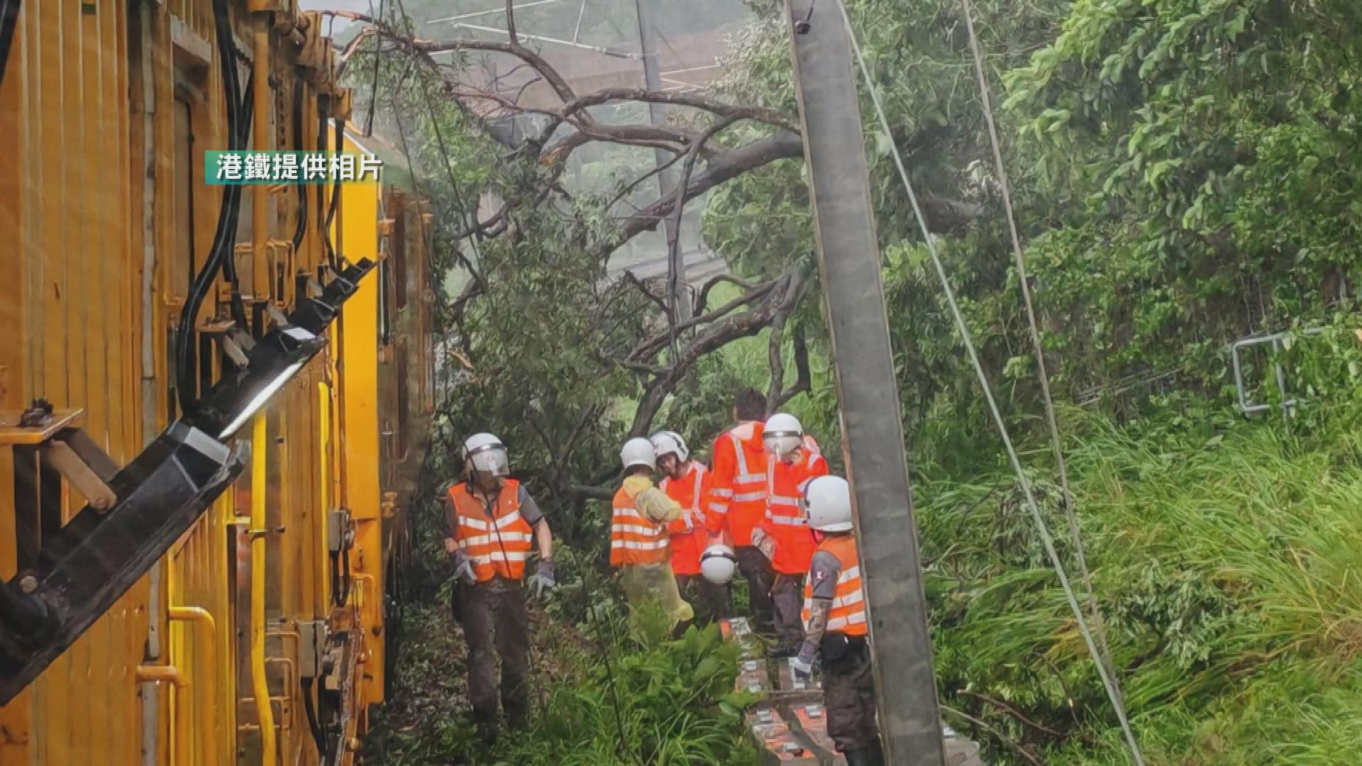 Picture_J.TYPHOON.BORDER-1300_001.jpg