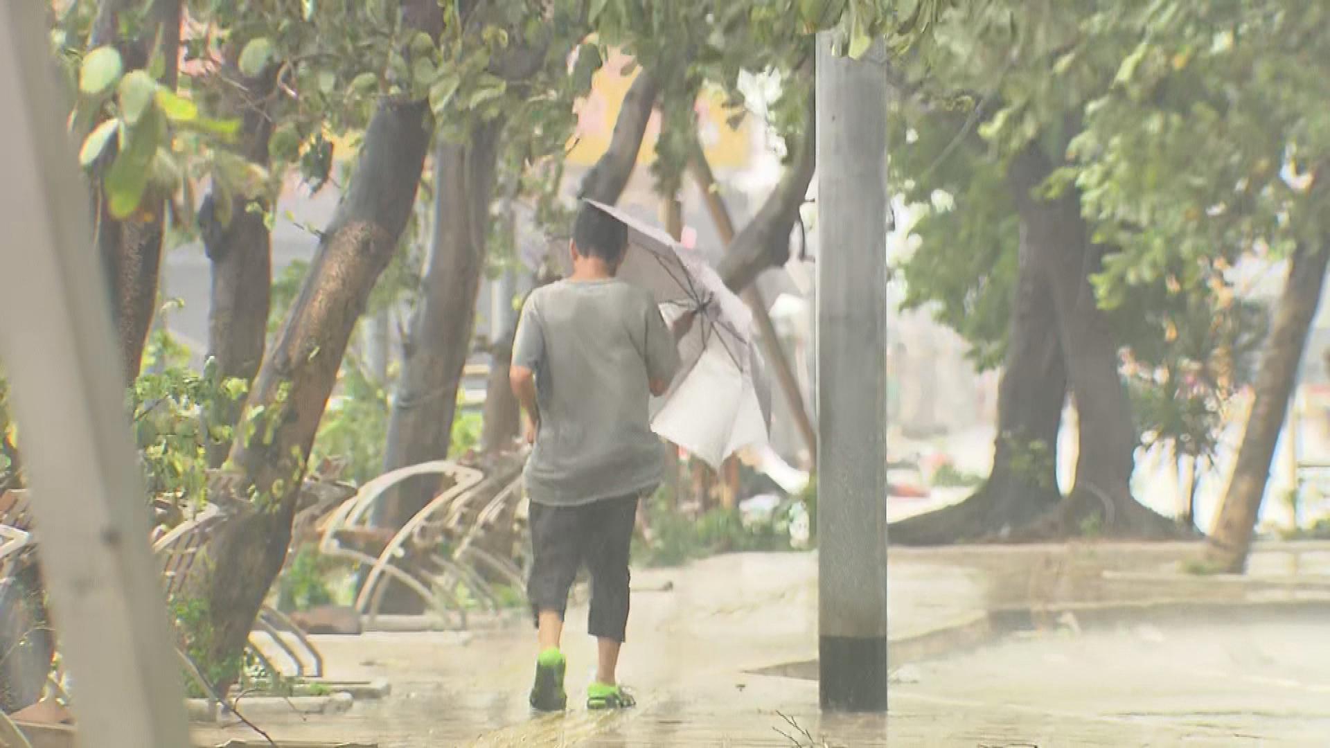 Picture_J.TYPHOON-1830_003.jpg