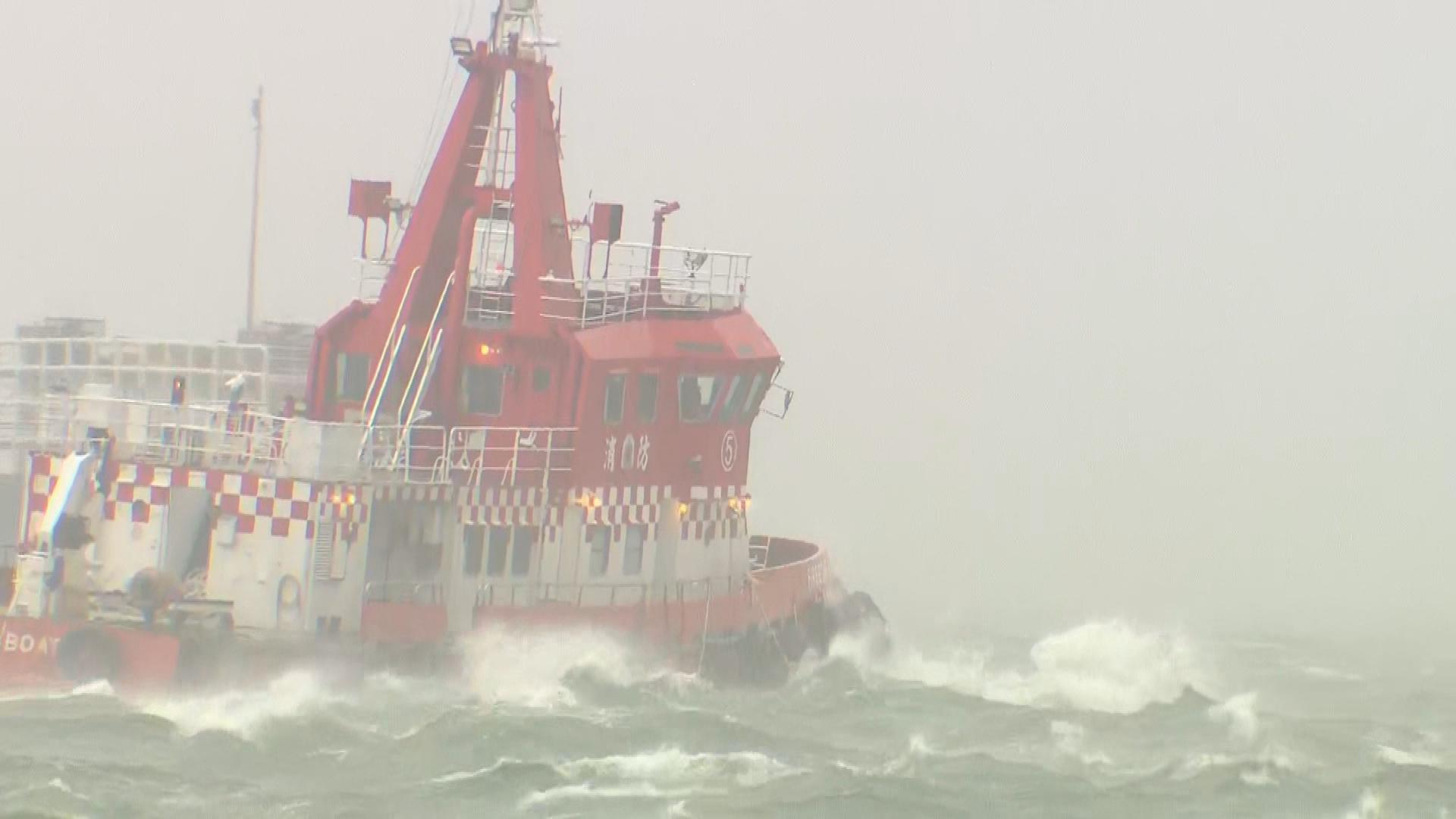 Picture_J.TYPHOON-1830_004.jpg