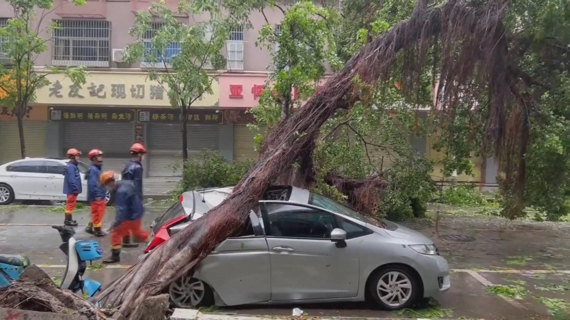 Picture_J.CN.TYPHOON-1830_001.jpg