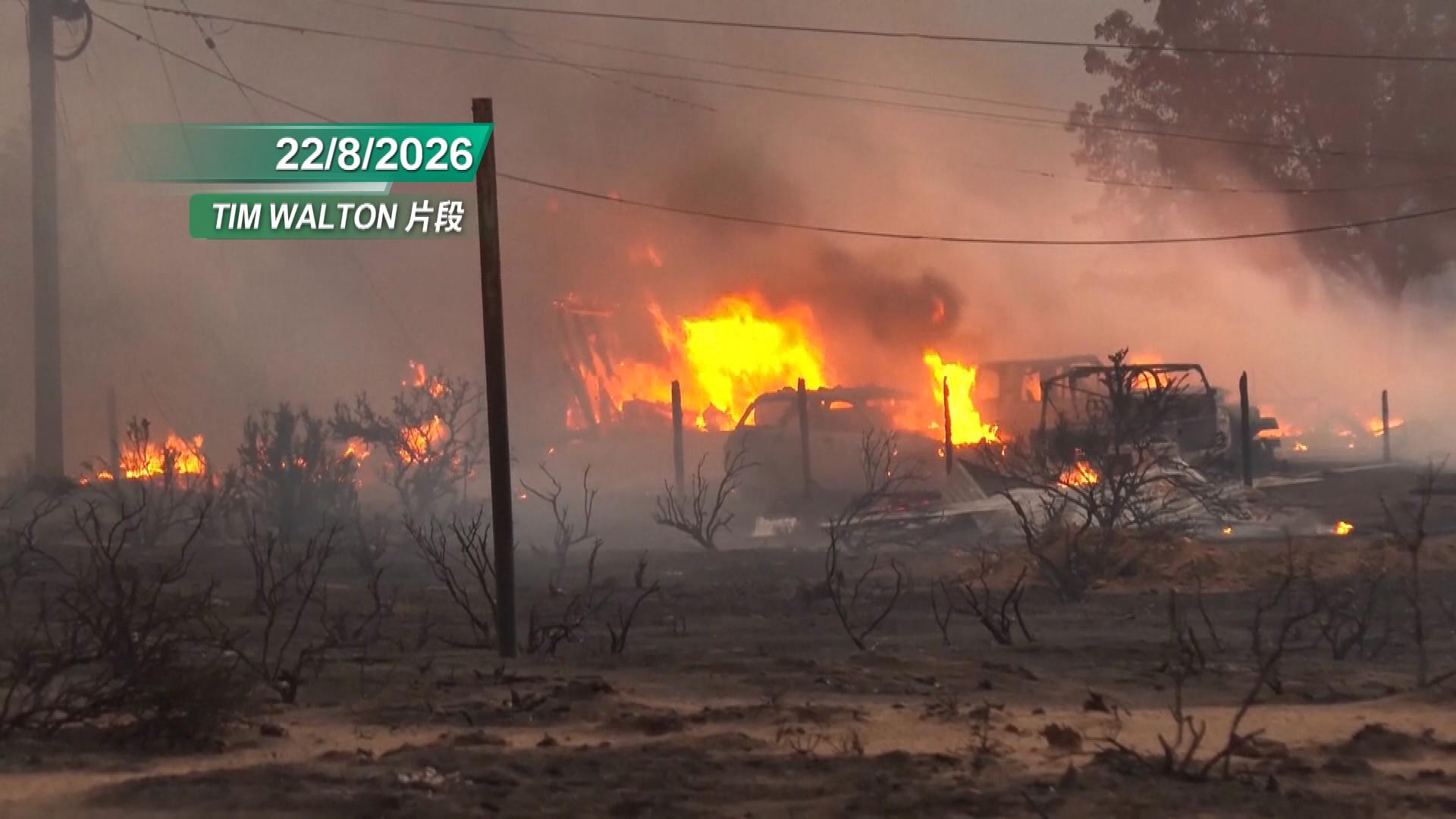 Picture_J.US.WILDFIRE-0102_001.jpg