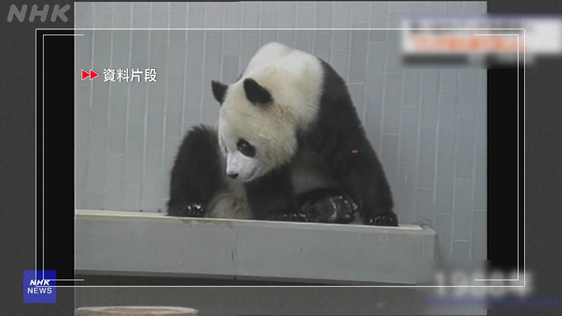 Picture_J.JP.PANDA-2300_001.jpg