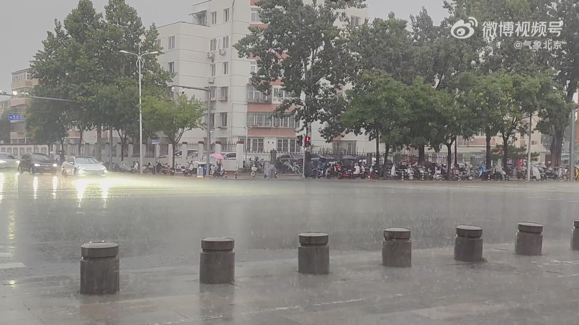 Picture_J.CN.RAIN-1830_001.jpg