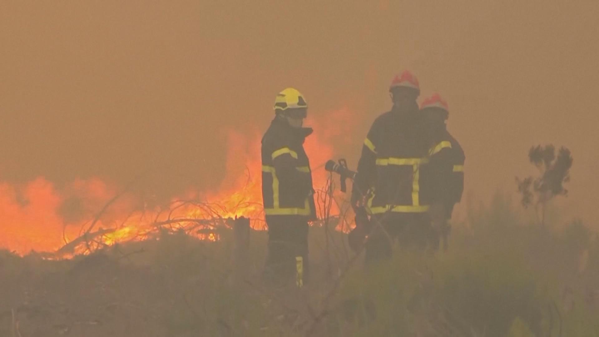 Picture_GV.FRA.WILDFIRE-CLEAN_002.jpg