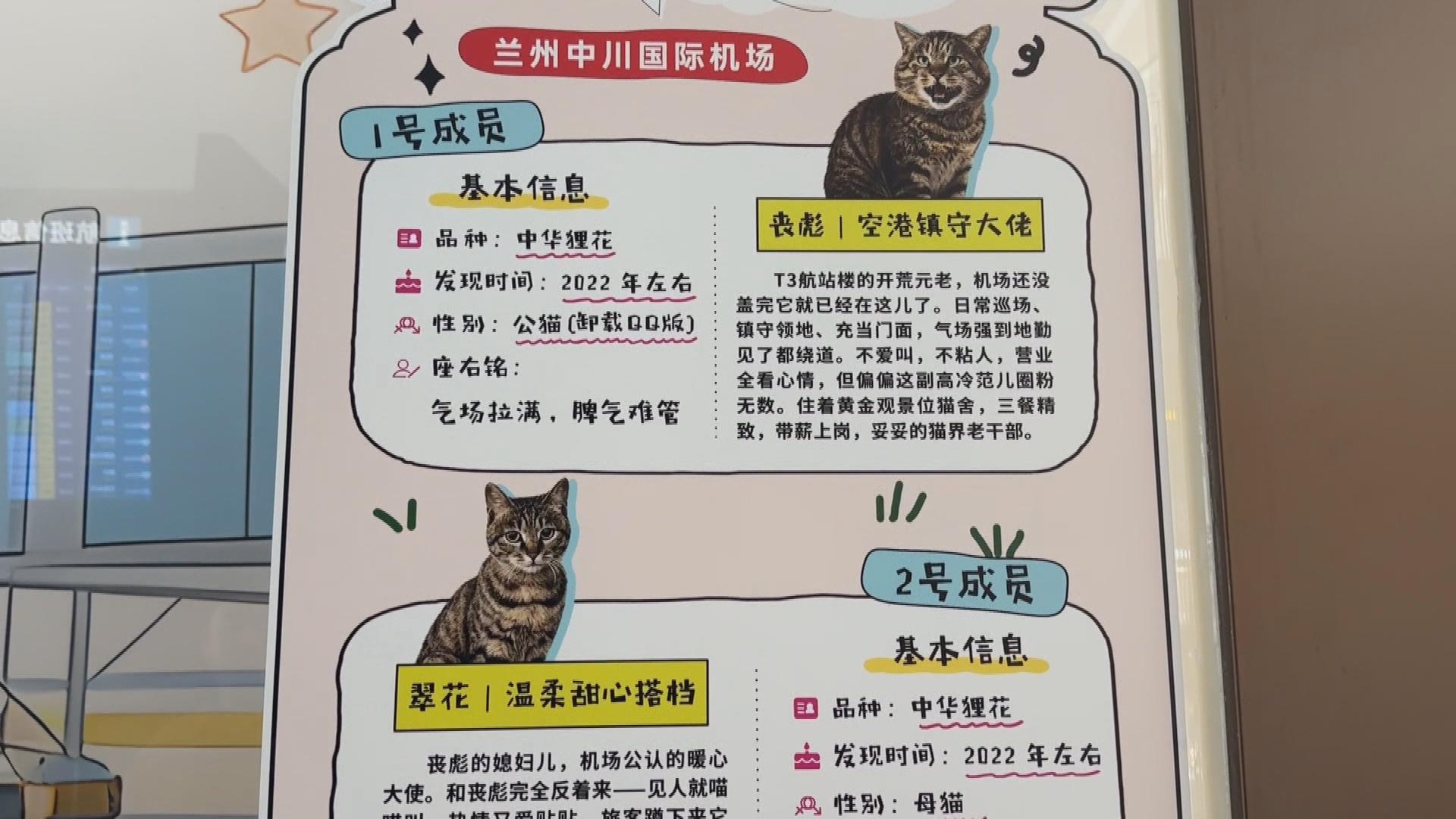 Picture_J.GS.CAT.MTV.0804-0818_005.jpg
