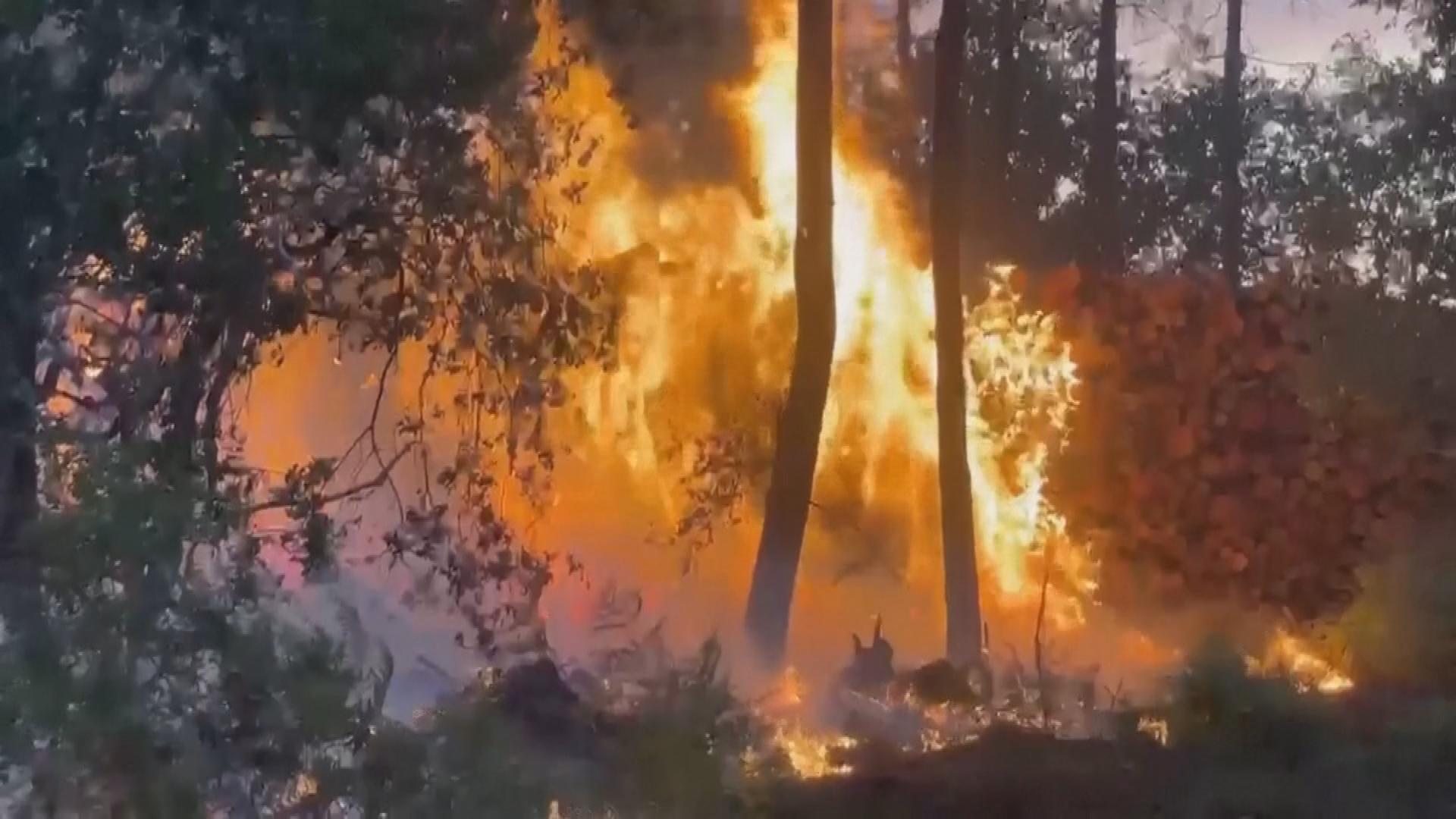 Picture_GV.FRA.WILDFIRE-CLEAN_003.jpg