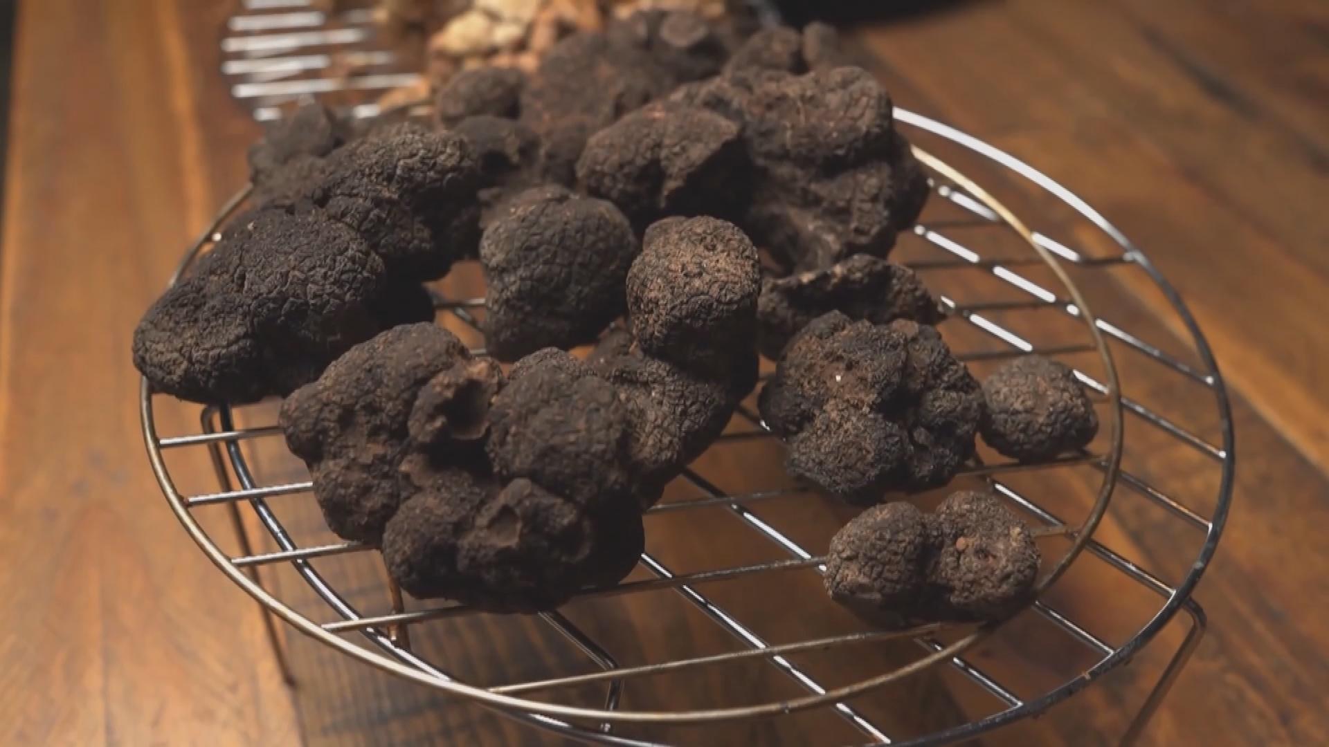 Picture_J.AUS.TRUFFLE-1700_002.jpg
