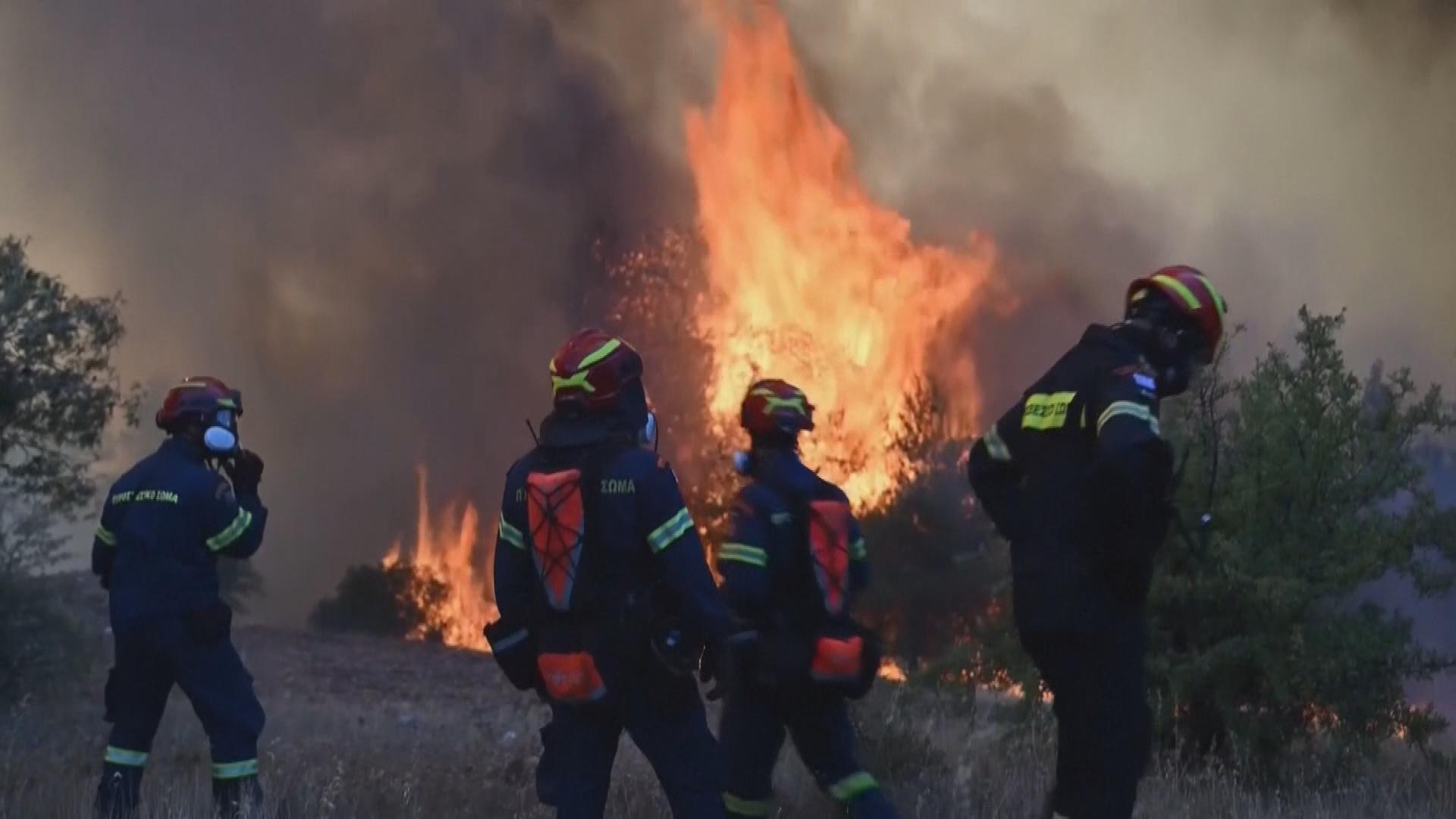 Picture_GV.EU.WILDFIRE-CLEAN_004.jpg