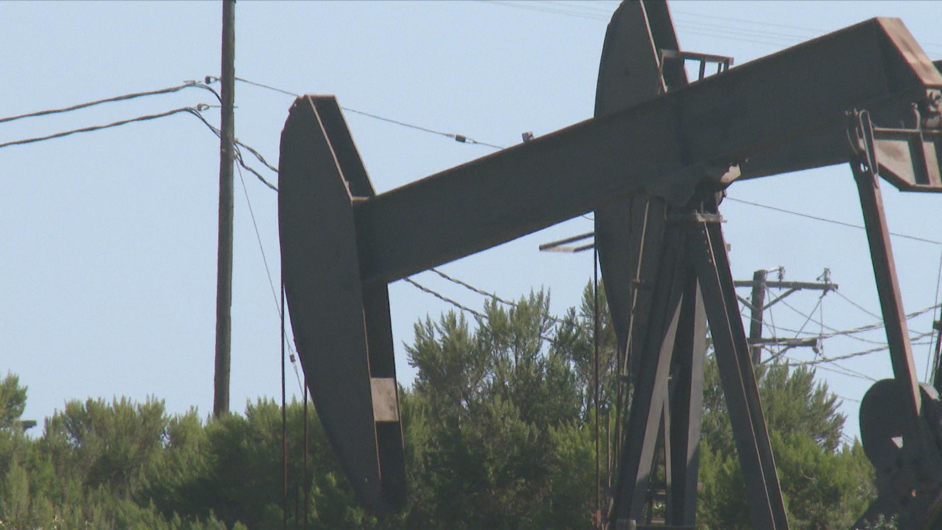 Picture_JF.OIL.SS 0500.jpg