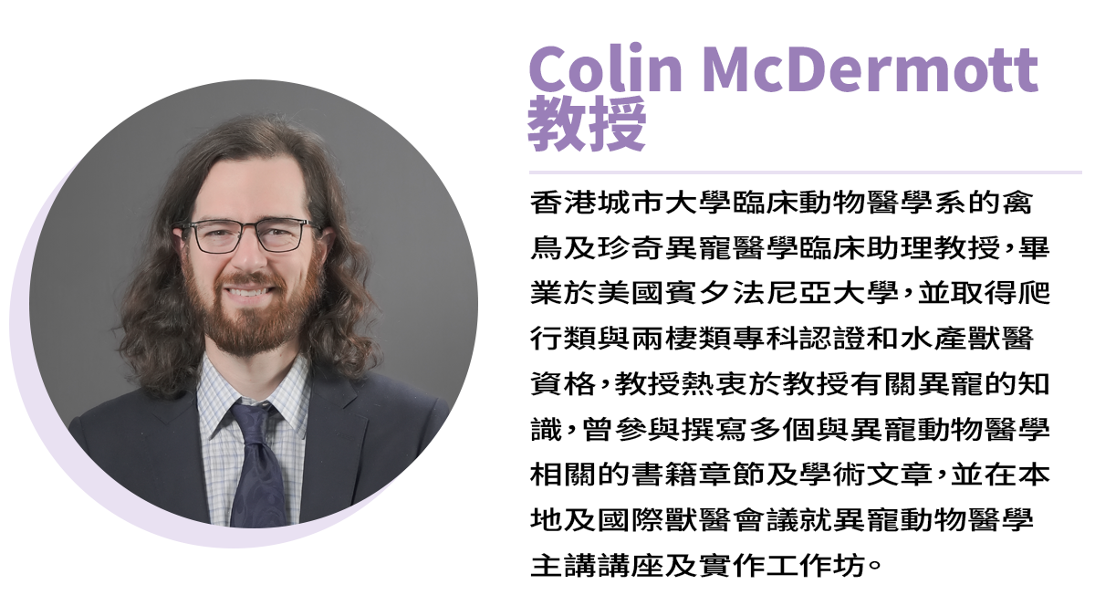 專欄_作者簡介_Colin McDermott 教授.png