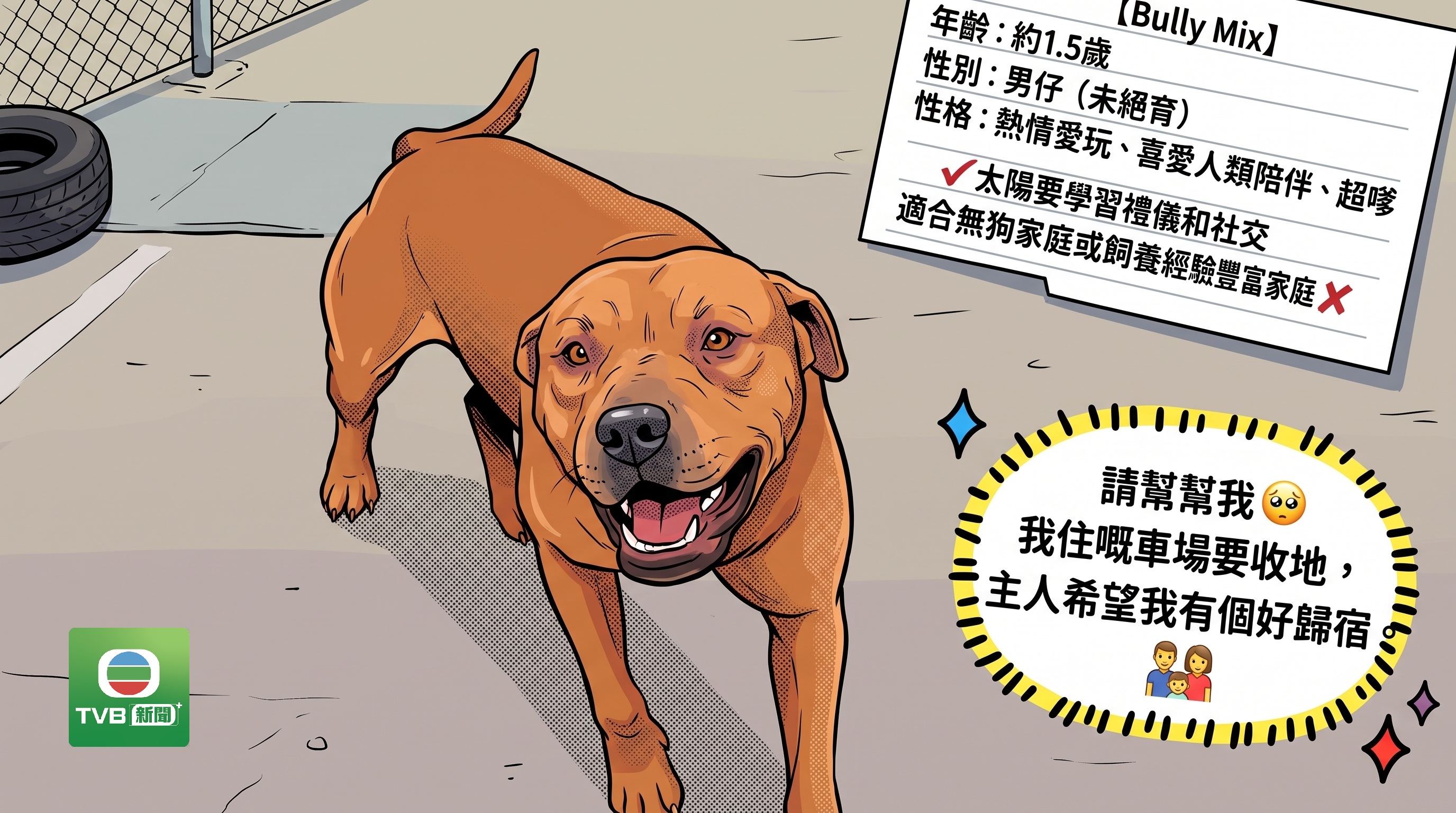 dog-5.jpg