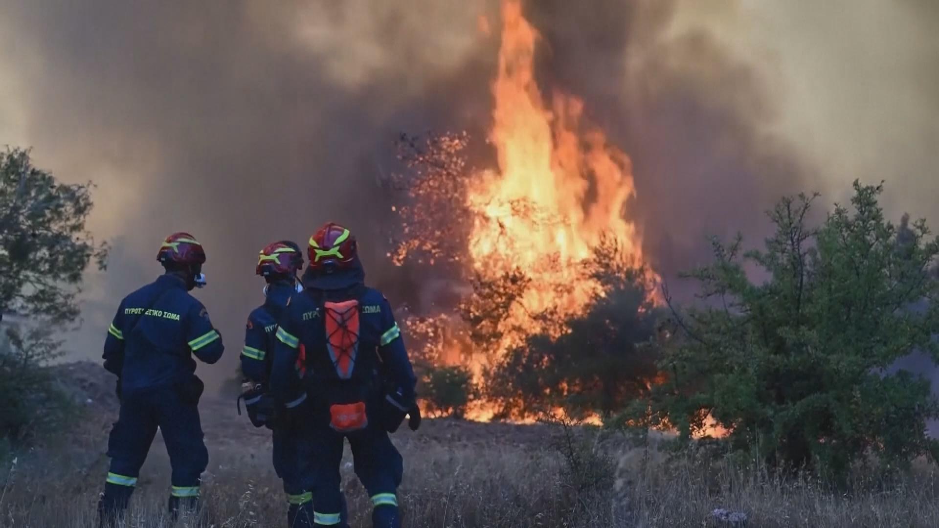 Picture_J.CNN.VAR.WILDFIRE-0330_003.jpg