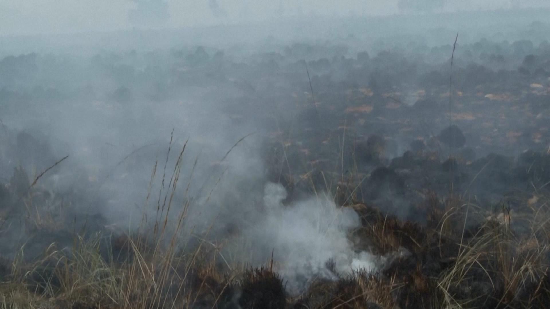 Picture_J.BEL.WILDFIRE-0430_001.jpg